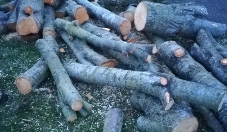 “Not our fault!”